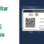 ¿Cómo verificar el Registro Federal de Contribuyentes (RFC) en el SAT de México?